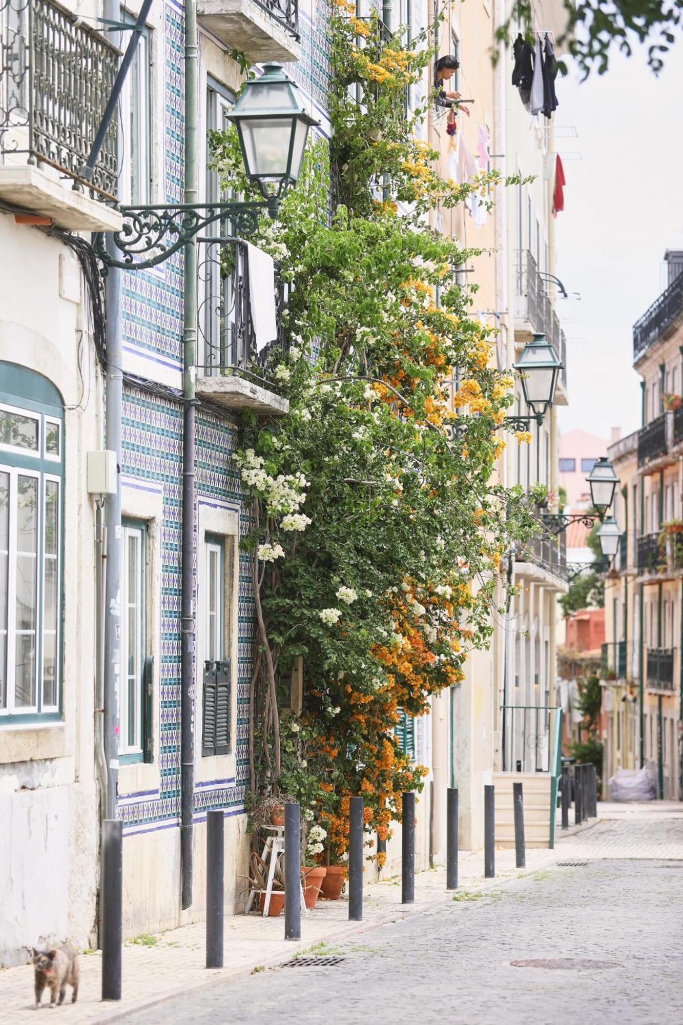 Bica Little House Appartement Lissabon Kamer foto